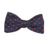 Bow Tie Geometrical Butterfly Knot