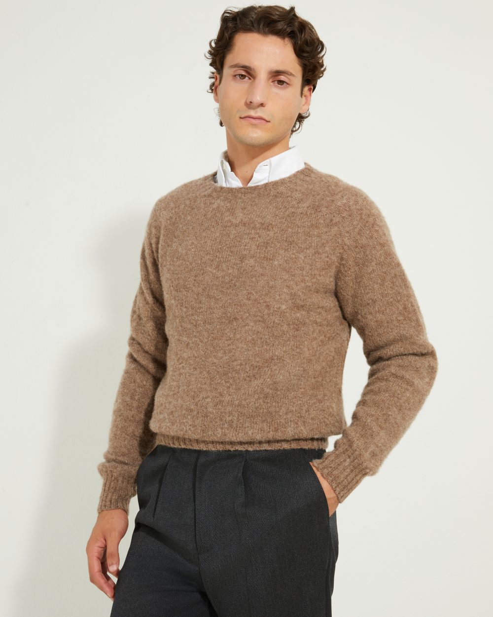 Crew-neck Sweater / Shaggy Shetland Wool