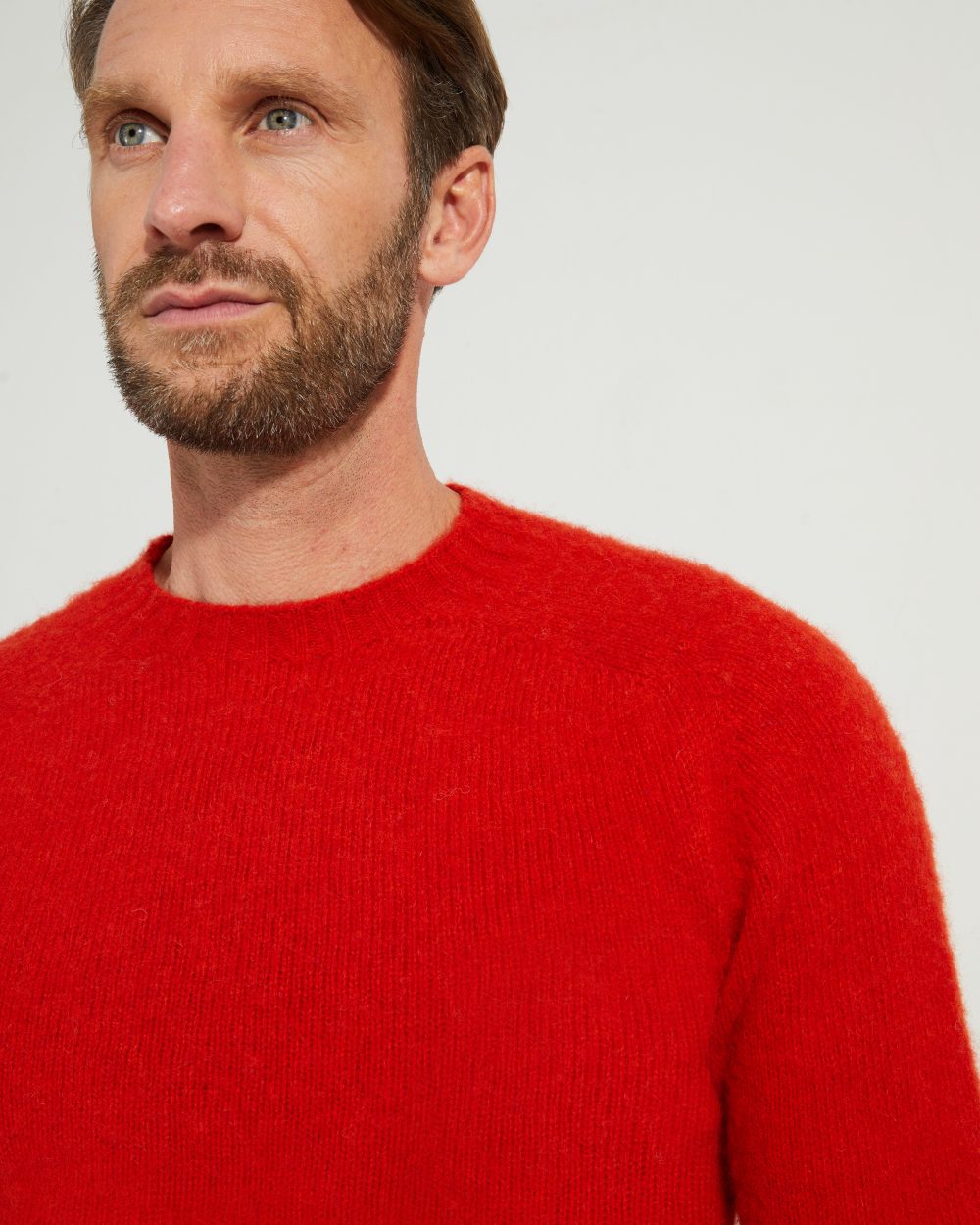 Crew-neck Sweater / Shaggy Shetland Wool