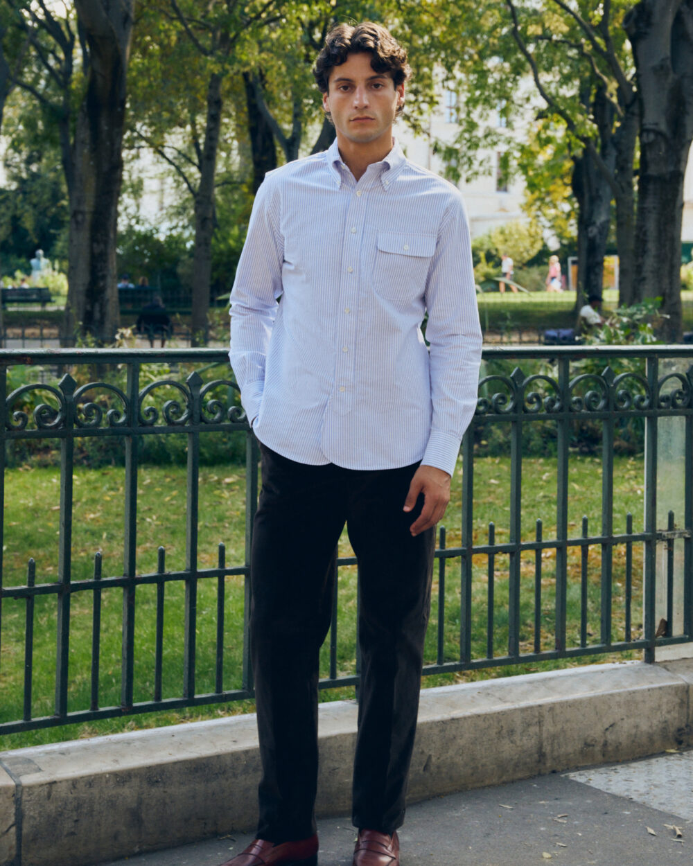 Button-down Shirt / Oxford