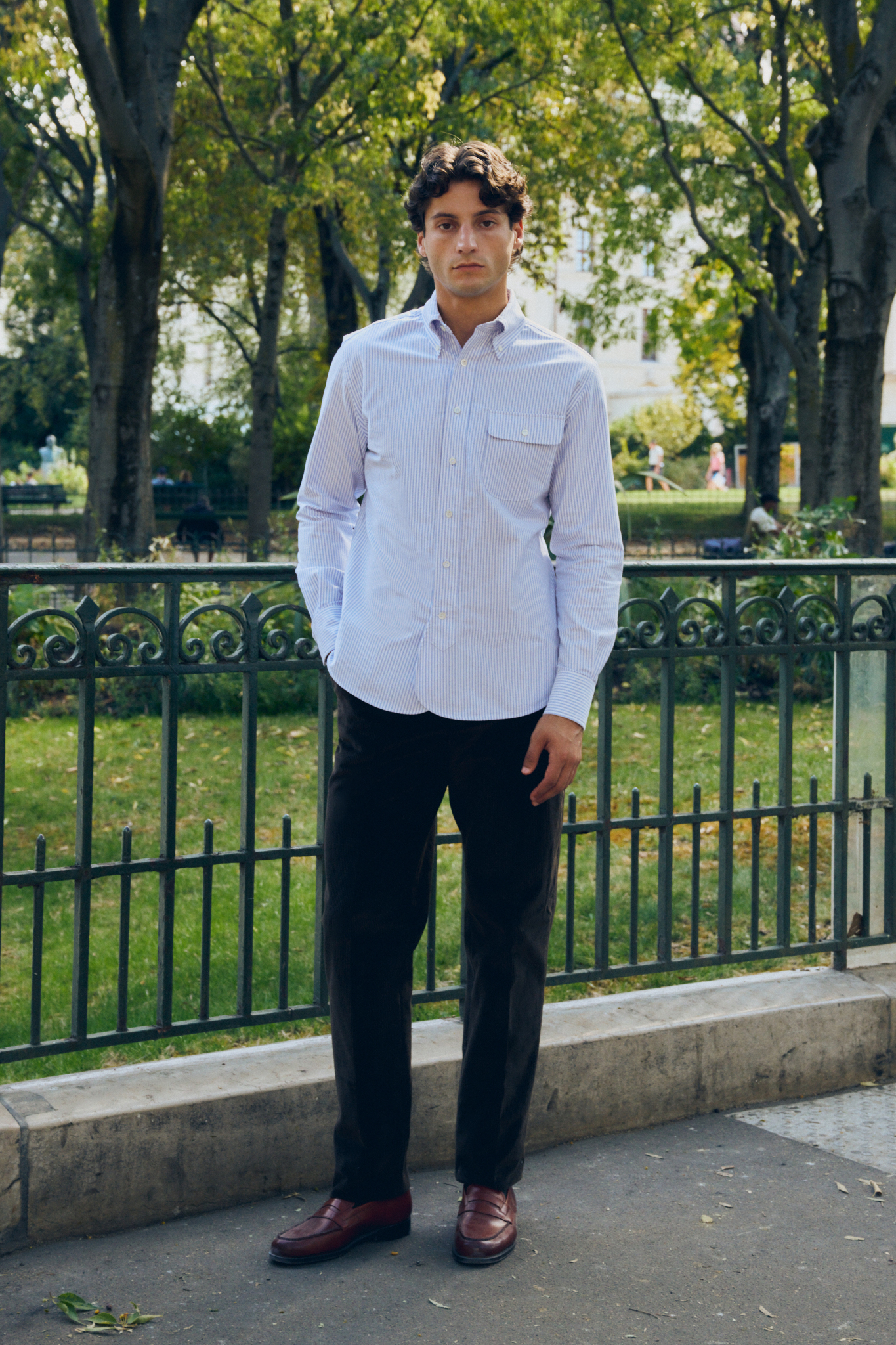 Button-down Shirt / Oxford