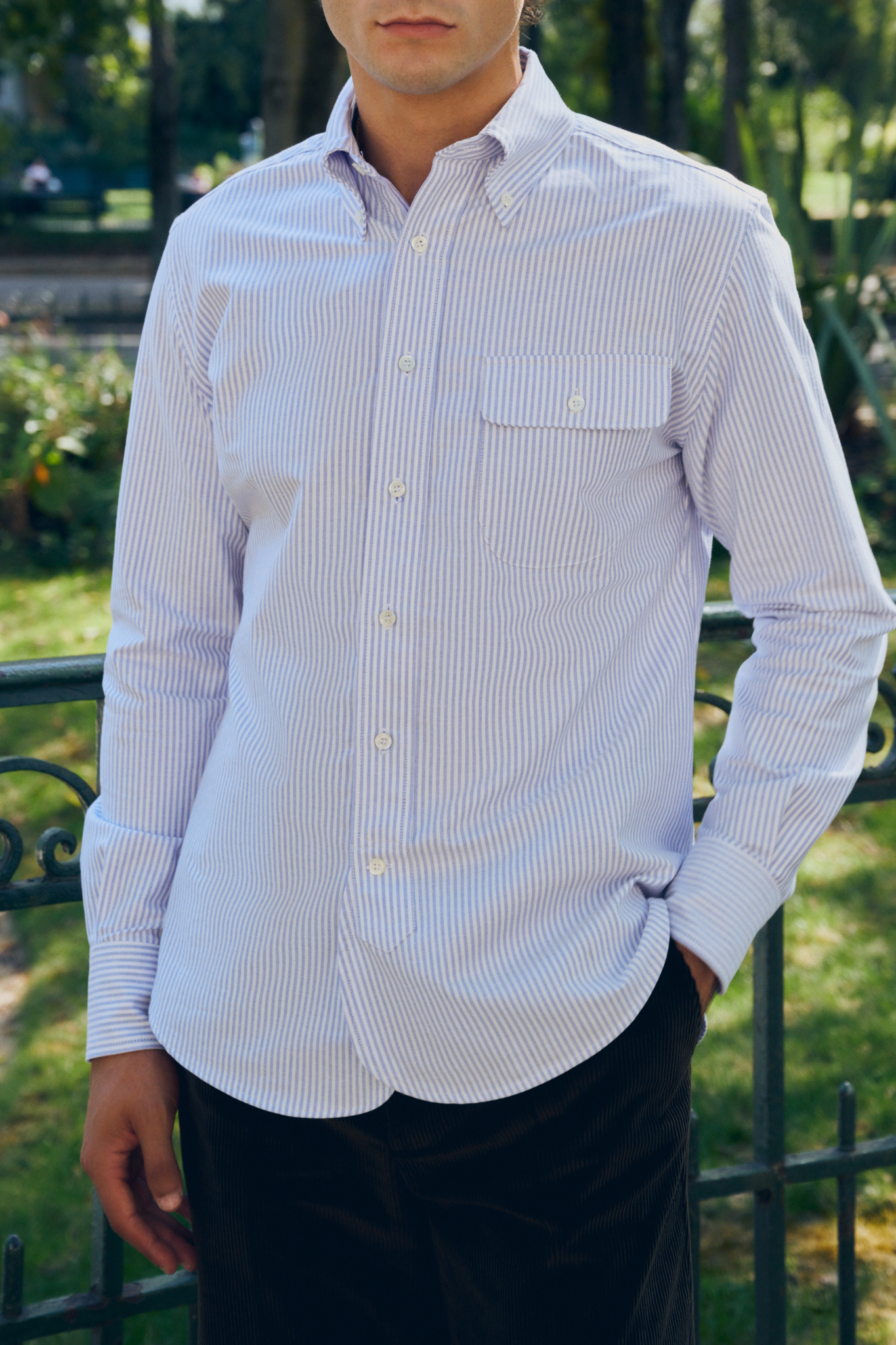 Button-down Shirt / Oxford