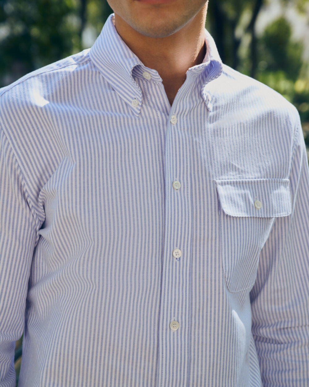 Button-down Shirt / Oxford