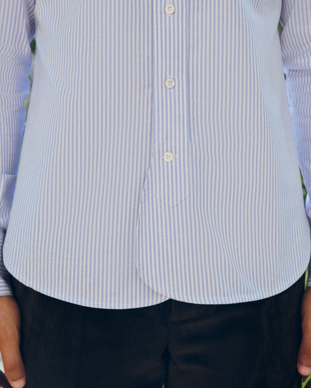 Button-down Shirt / Oxford