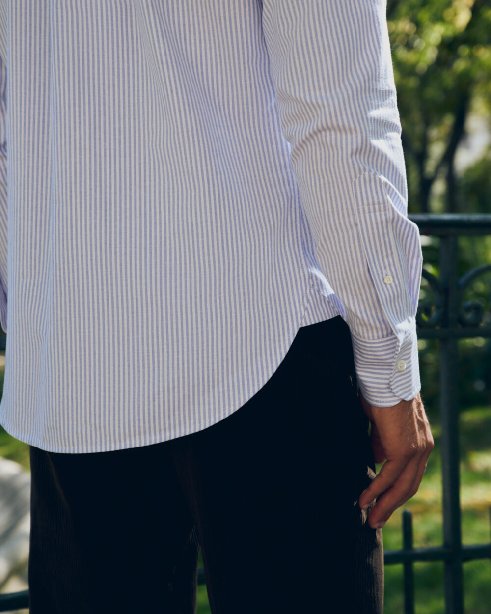 Button-down Shirt / Oxford