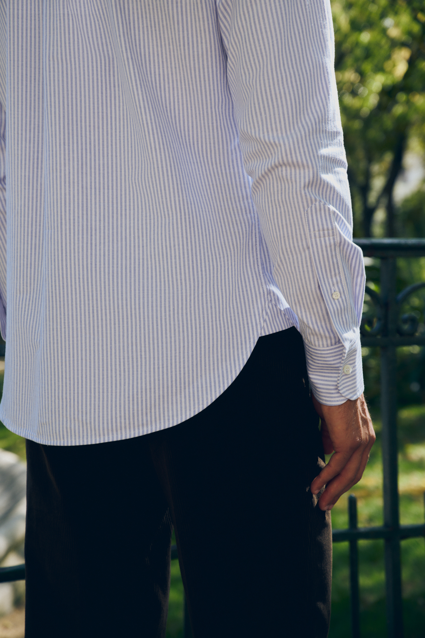 Button-down Shirt / Oxford